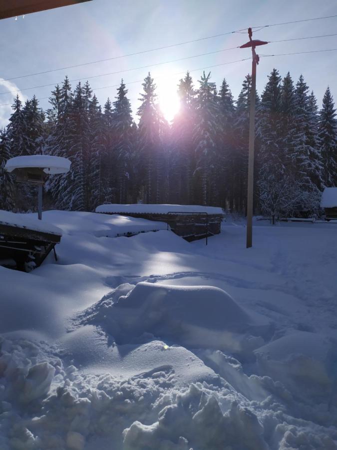 Ferienwohnung Gabi Forbach Exteriör bild