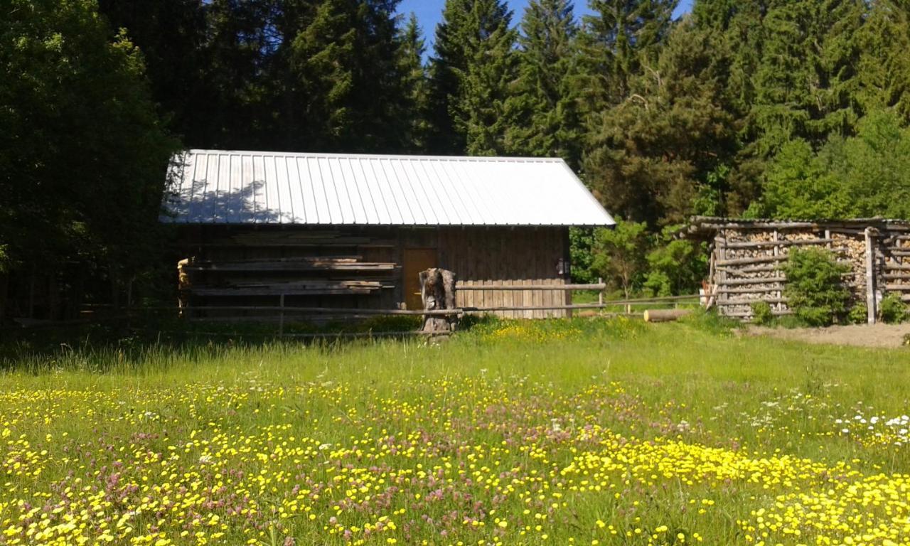 Ferienwohnung Gabi Forbach Exteriör bild