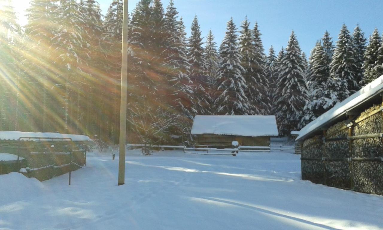 Ferienwohnung Gabi Forbach Exteriör bild