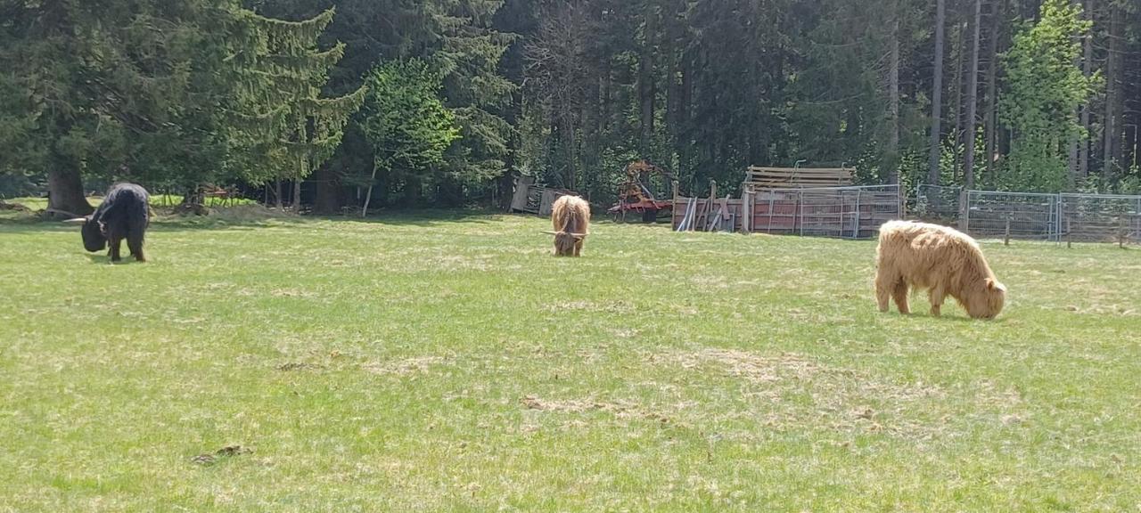 Ferienwohnung Gabi Forbach Exteriör bild