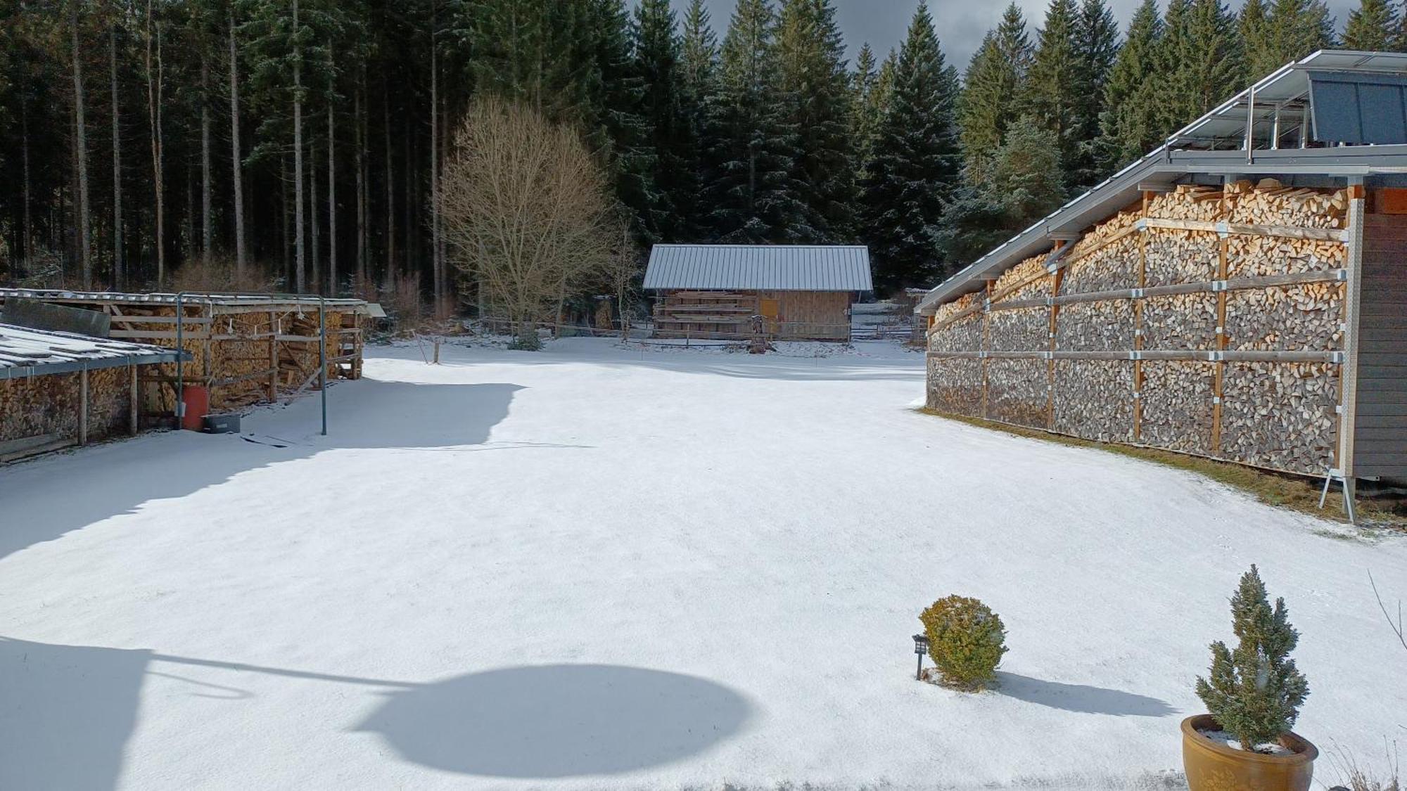 Ferienwohnung Gabi Forbach Exteriör bild